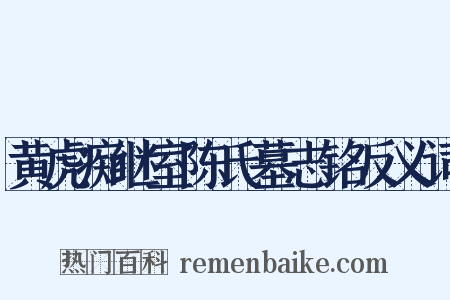 黄虎痴继室陈氏墓志铭反义词是什么意思的图片